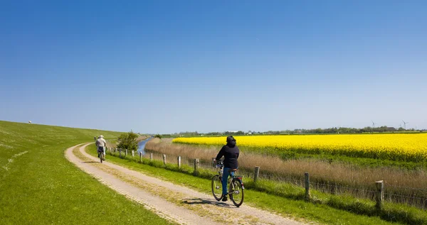 骑自行车在北德国平原 — 图库照片
