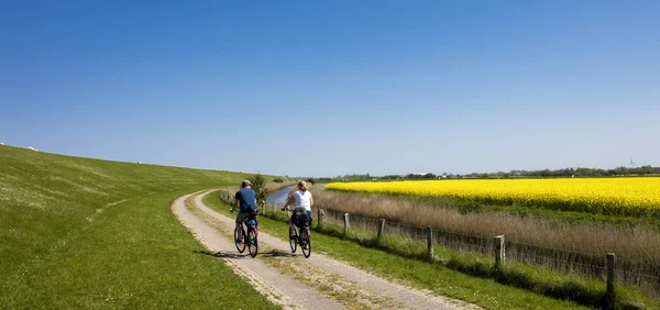 Kuzey Alman Plains'deki bir Bisiklete binmek — Stok fotoğraf