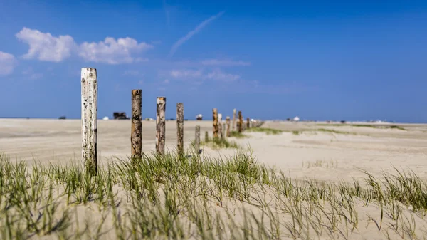 A sand dune on the beach of St. Peter Ording — Stock Photo, Image