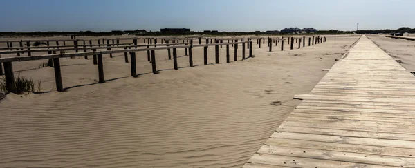 Eine düne am strand von st. peter ording — Stockfoto