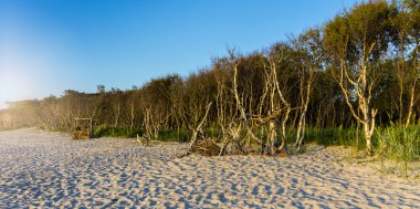 West coast Dar kumsalda