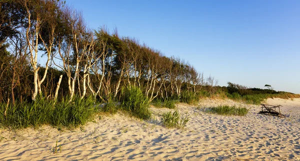 Beach on the west coast of Dar — Stock Photo, Image