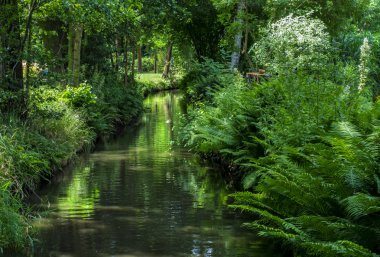 Tekne ve Kano Spreewald Almanya'da seyahat ile