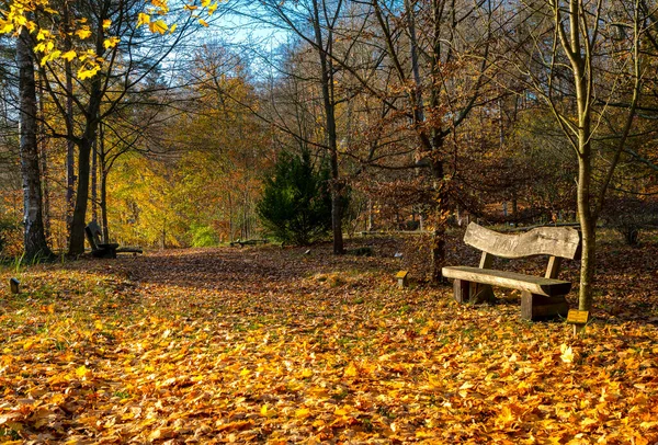 2020年10月のベルリン公園やポッツマープラッツ周辺の道の紅葉と紅葉 — ストック写真