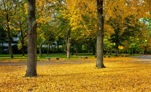 2020年10月のベルリン公園やポッツマープラッツ周辺の道の紅葉と紅葉 — ストック写真