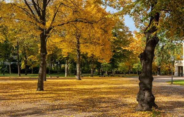 Podzimní Listí Podzimní Stromy Berlínských Parcích Třídách Kolem Náměstí Potsdmaer — Stock fotografie