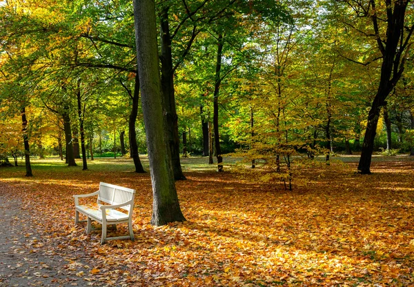 Podzimní Listí Podzimní Stromy Berlínských Parcích Třídách Kolem Náměstí Potsdmaer — Stock fotografie