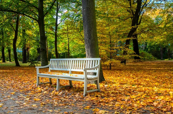 Podzimní Listí Podzimní Stromy Berlínských Parcích Třídách Kolem Náměstí Potsdmaer — Stock fotografie