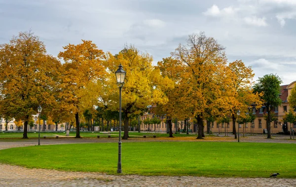 Herbstlaub Und Herbstbäume Den Berliner Parks Und Alleen Rund Den — Stockfoto