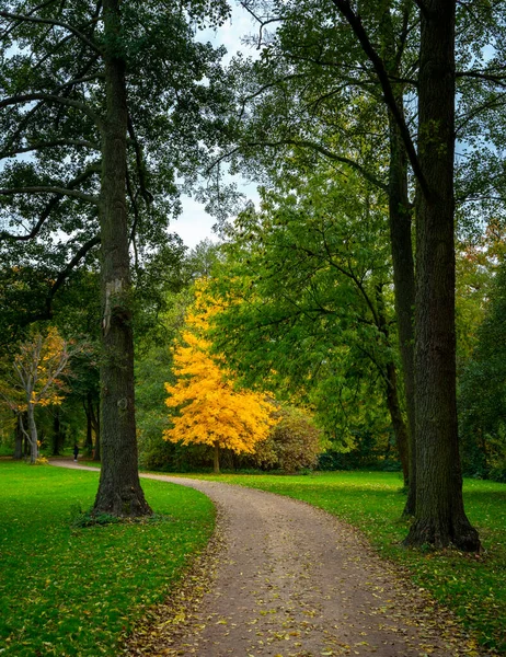 2020年10月のベルリン公園やポッツマープラッツ周辺の道の紅葉と紅葉 — ストック写真