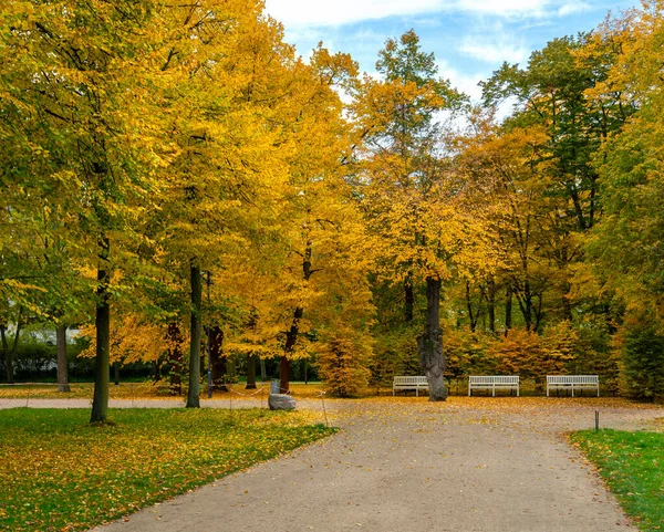 2020年10月 柏林公园的秋叶和秋树 以及波茨梅尔广场周围的林荫道 — 图库照片