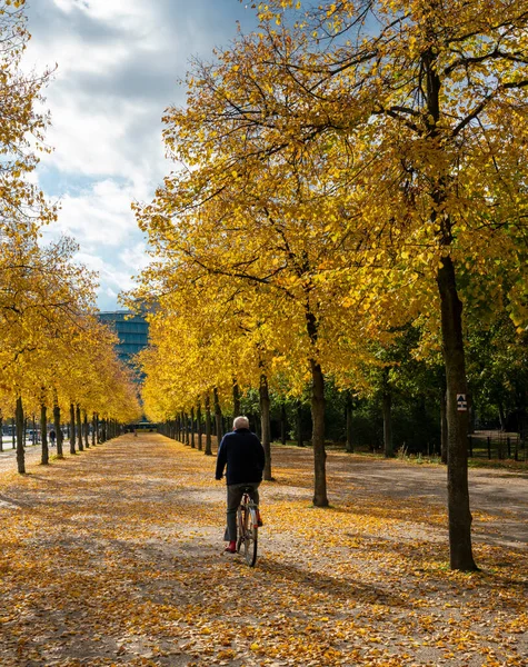 2020年10月 柏林公园的秋叶和秋树 以及波茨梅尔广场周围的林荫道 — 图库照片