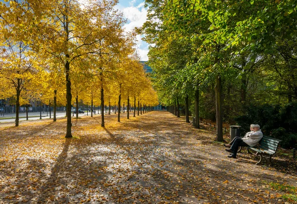 2020年10月のベルリン公園やポッツマープラッツ周辺の道の紅葉と紅葉 — ストック写真