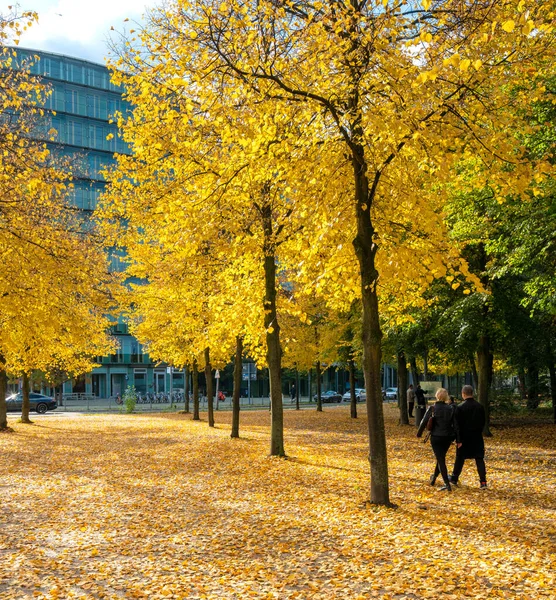 Ekim 2020 Potsdmaer Platz Çevresindeki Berlin Parklarında Caddelerinde Sonbahar Yaprakları — Stok fotoğraf