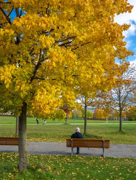 Ekim 2020 Potsdmaer Platz Çevresindeki Berlin Parklarında Caddelerinde Sonbahar Yaprakları — Stok fotoğraf