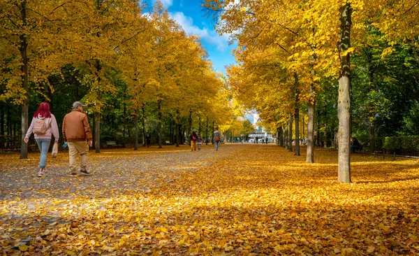 2020年10月のベルリン公園やポッツマープラッツ周辺の道の紅葉と紅葉 — ストック写真