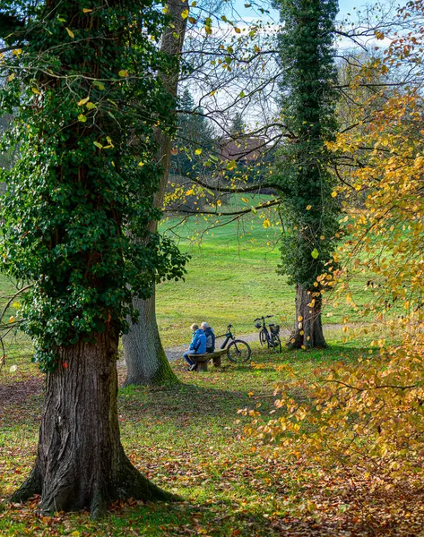 骑自行车的人外出到位于德国勃兰登堡的切尔诺贝利修道院附近的森林里去休息一下 2020年 — 图库照片