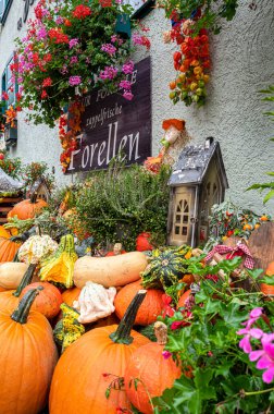 Balkabağı ve diğer sonbahar eşyalarıyla dekorasyon