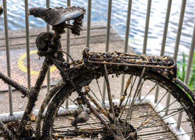 Berlin 'deki paslı bisikletler ve Potsdam' ın çevresi