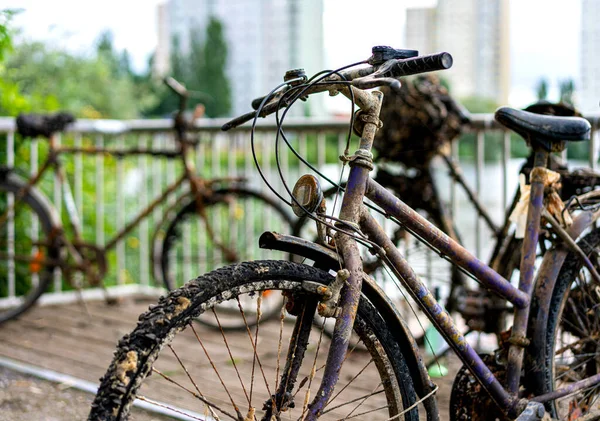 Rozsdás Kerékpárok Berlinben Környező Potsdam — Stock Fotó