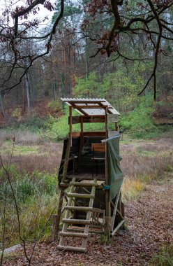 Ormandaki bir açıklıkta avcı koltuğu