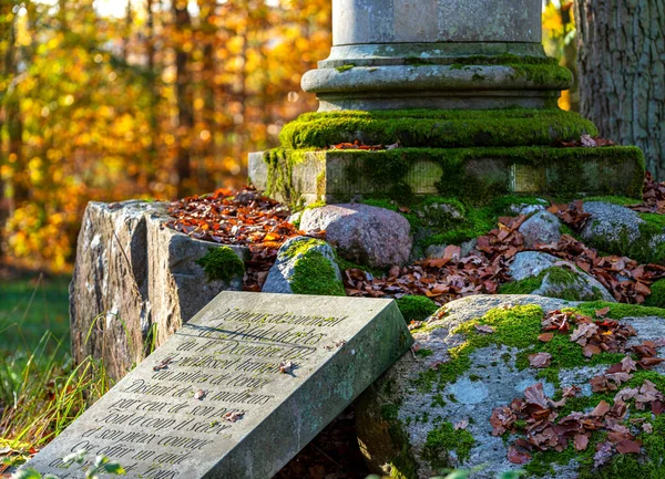 Colonna Storica Bosco Vicino Castello Rheinsberg Brandeburgo Germania — Foto Stock