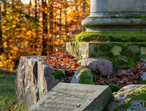 Historical Column Forest Rheinsberg Castle Brandenburg Germany — Stock Photo, Image