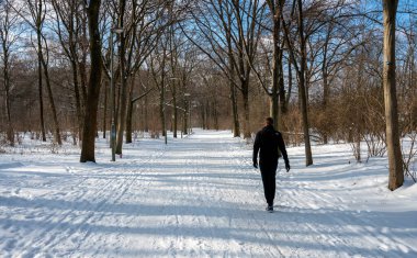 Berlin 'deki parkta aylaklar ve koşucular