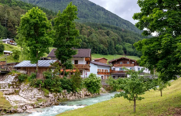 Landscape Animals Berchtesgadener Land Bavaria — Stockfoto