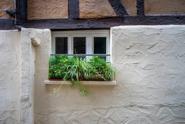 Evin Duvarında Çiçek Kutusu Olan Küçük Pencere — Stok fotoğraf