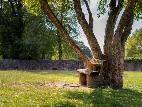 Parques Naturales Paisaje Los Alrededores Berlín Alemania — Foto de Stock