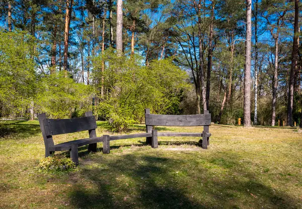 Natuurparken Landschap Omgeving Van Berlijn Duitsland — Stockfoto