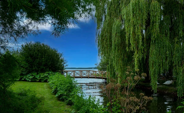 Kleine Houten Brug Tussen Wilgenbomen — Stockfoto