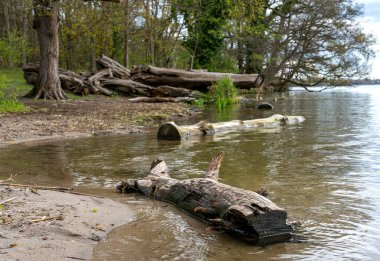 Tegel Ormanı 'ndaki manzara ve doğa ve Tegel Gölü' ndeki