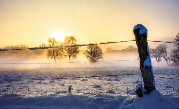 Morgensonne im Winter — Stockfoto