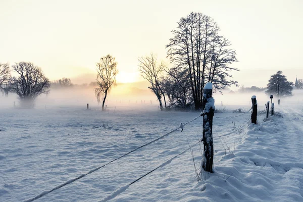 Sol da manhã no inverno — Fotografia de Stock