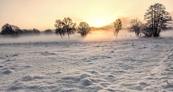 Sole del mattino in inverno — Foto Stock