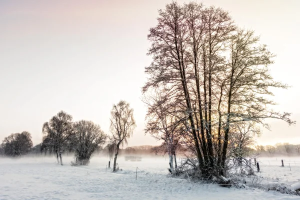Sol da manhã no inverno — Fotografia de Stock