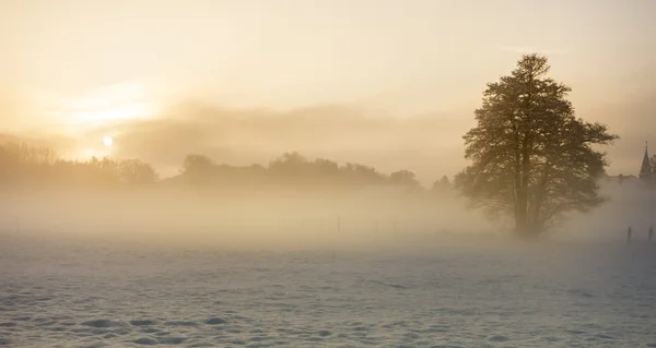 Sole del mattino in inverno — Foto Stock