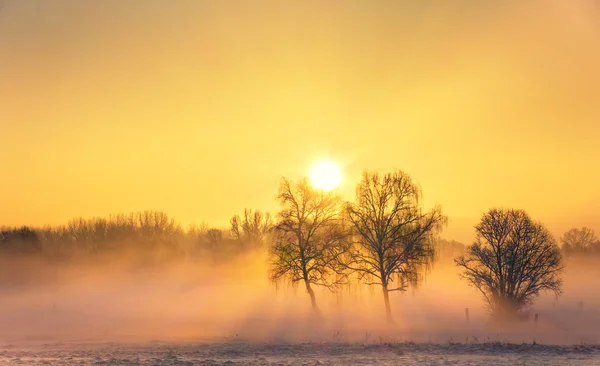 Sol de inverno — Fotografia de Stock