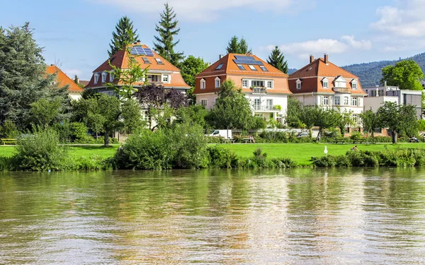 Élő, a neckar-folyó — Stock Fotó