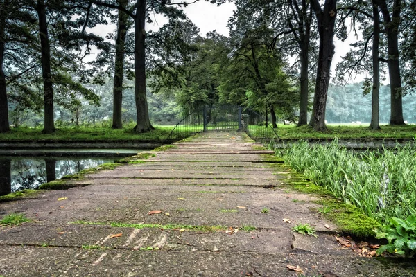 Bridge to the forrest — Stock Photo, Image