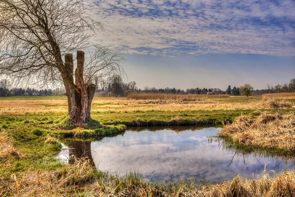 Landschaft in Berlin — Stockfoto