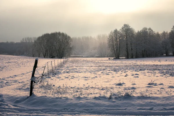 In de winter — Stockfoto