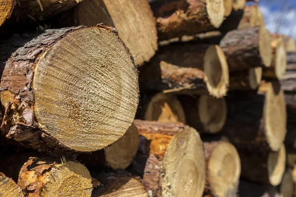 Hasta estapeltes de madera — Foto de Stock