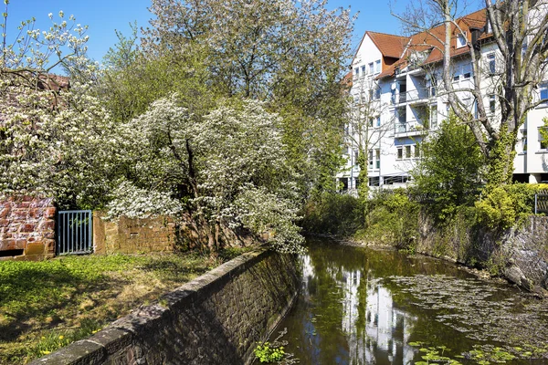 Living at the river — Stock Photo, Image