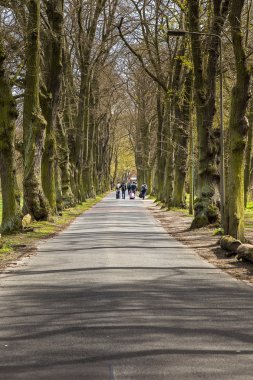 uzun avenue