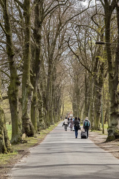 Jugendliche rennen eine Allee entlang — Stockfoto