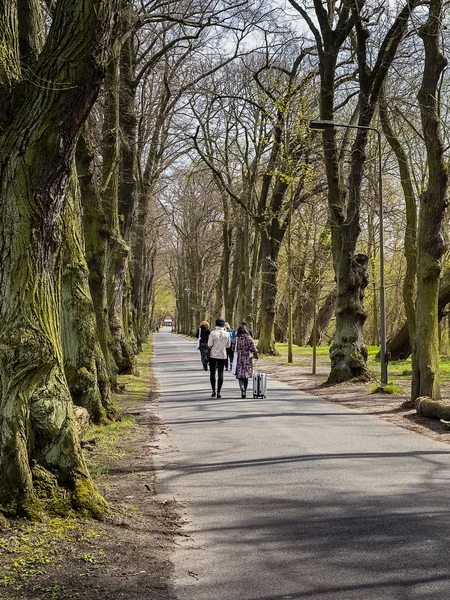 Jugendliche rennen eine Allee entlang — Stockfoto