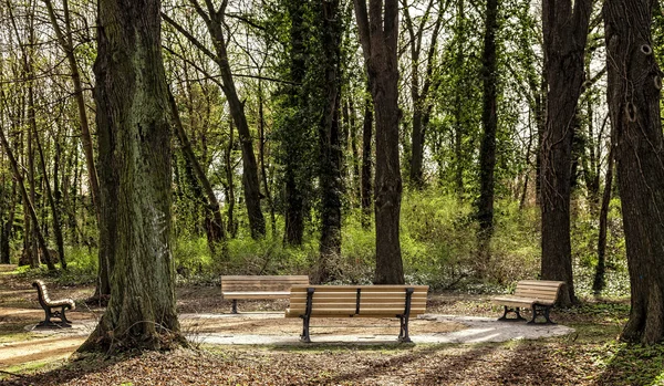 Panca in legno — Foto Stock